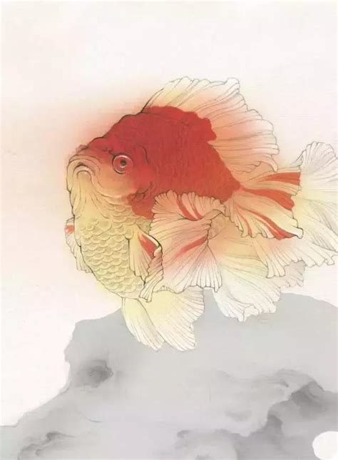 畫金魚